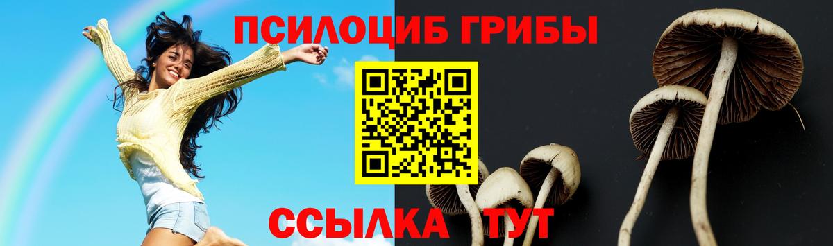 Псилоцибиновые грибы GOLDEN TEACHER  Вход с VPN  Галлюциногенные грибы Psilocybe  Новокубанск 